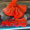 Wiper Guitar 2 pis