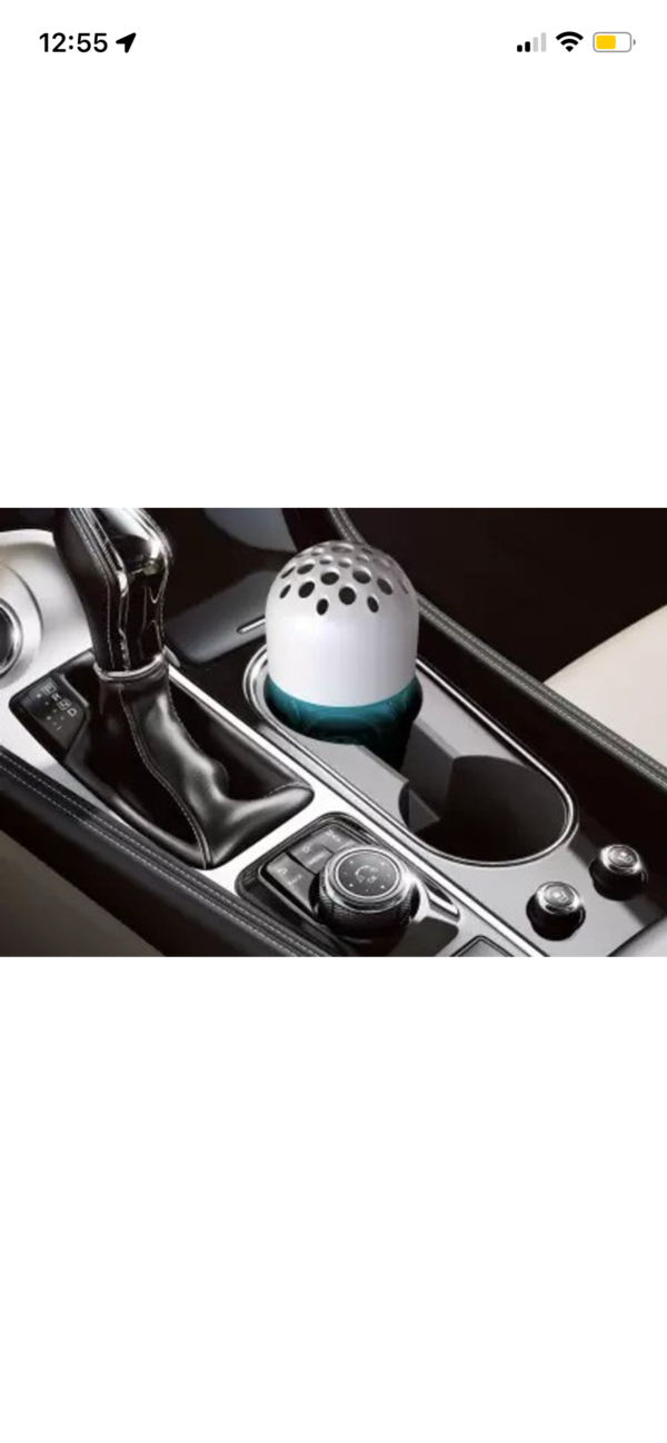 Mint Air Car freshener perfume