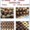 img_6582 Wooden Beads Seat Cover Cushion for All The Cars, SUV,Office Chair, Home Chair (Universal fit,1 Pack)