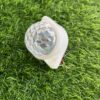 (Red- Blue) 6 pis Dream gold / football led/ पार्किंग led / (लाल - नीला) 6 पीस आयेगा (12v+24v common)