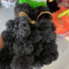 img_1531 Jodhpuri gonda / jodhpuri choti / tiranga choti / तिरंगा गोंडा / तिरंगा जोधपूरी चोटी
( 2 pis ) ( 2 पीस )