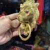Golden Lion / Golden Kada / Lion