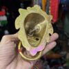 Golden Lion / Golden Kada / Lion