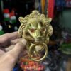 Golden Lion / Golden Kada / Lion