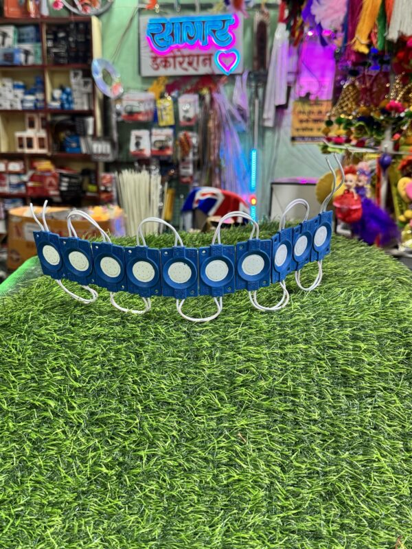 img_0575 10 pis *Blue Coin Light LED 10 pis - (12-volt)
10 पीस *नीला कॉइन लाइट LED- (12-वोल्ट)