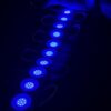 img_0581 10 pis *Blue Coin Light LED 10 pis - (12-volt)
10 पीस *नीला कॉइन लाइट LED- (12-वोल्ट)