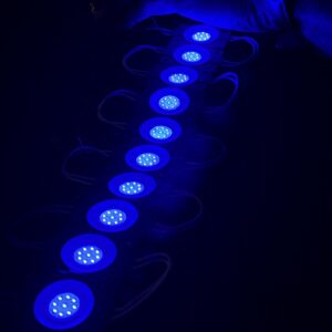 img_0581 10 pis *Blue Coin Light LED 10 pis - (12-volt)
10 पीस *नीला कॉइन लाइट LED- (12-वोल्ट)