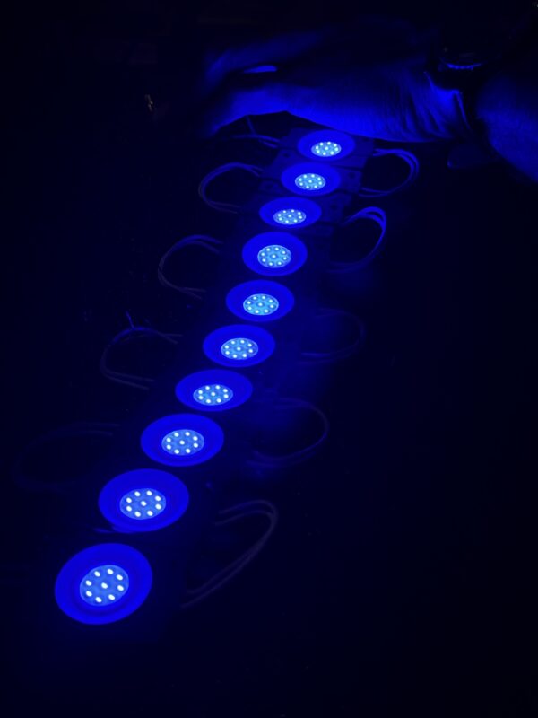 img_0581 10 pis *Blue Coin Light LED 10 pis - (12-volt)
10 पीस *नीला कॉइन लाइट LED- (12-वोल्ट)