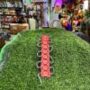 10 pis *Red Coin Light LED 10 pis - (12-volt)
10 पीस *लाल कॉइन लाइट LED- (12-वोल्ट)