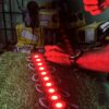 10 pis *Red Coin Light LED 10 pis - (12-volt)
10 पीस *लाल कॉइन लाइट LED- (12-वोल्ट)