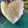 😍Double Colour Heart (Dil) Red + Cream Colour, soft and spongy❤️