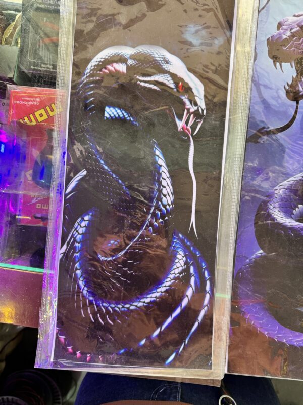 Vinyl Sticker (The Snake🐍) 100% waterproof and self adhesive, (2 pis) for 2 sides (size - 18” inch X 7” inch)