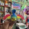 New Rainbow Bird / Naya Pakshi /