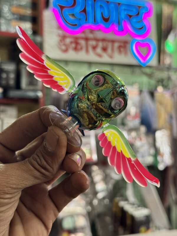 New Rainbow Bird / Naya Pakshi /