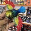New Rainbow Bird / Naya Pakshi /