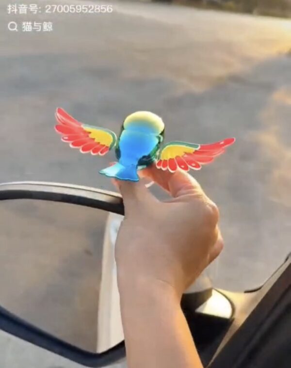 New Rainbow Bird / Naya Pakshi /