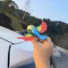 New Rainbow Bird / Naya Pakshi /