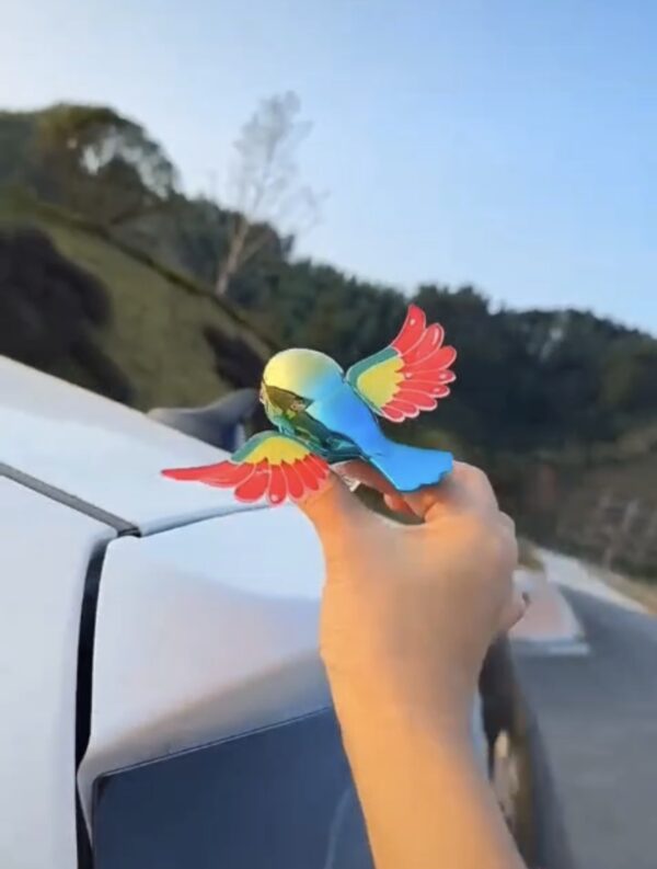 New Rainbow Bird / Naya Pakshi /