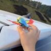 New Rainbow Bird / Naya Pakshi /