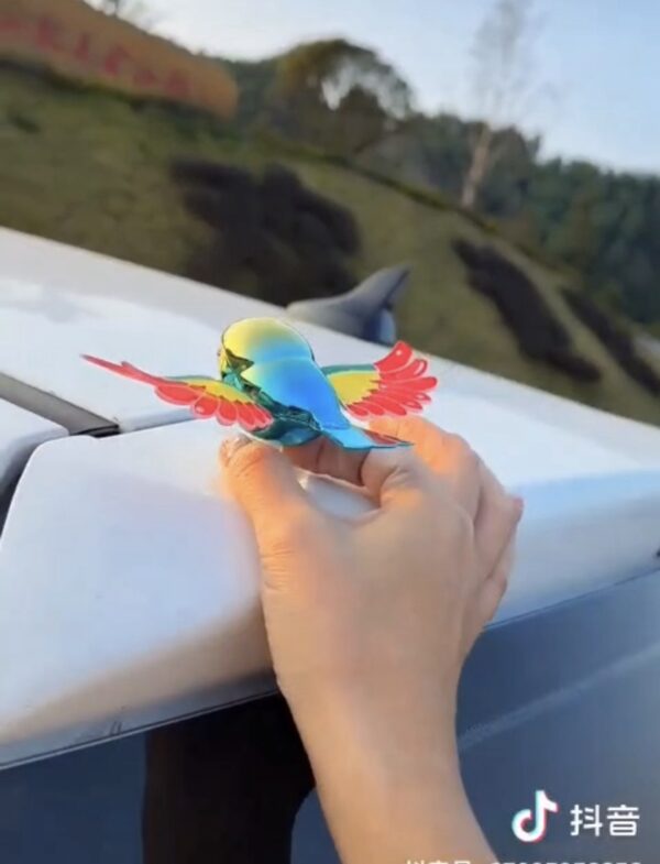 New Rainbow Bird / Naya Pakshi /