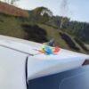 New Rainbow Bird / Naya Pakshi /