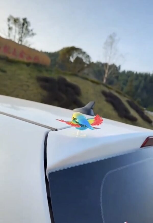 New Rainbow Bird / Naya Pakshi /