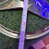R - 14” inch tyre size wheel cap / steel wheel cap / cp wheel cap / [2 pis 2 पीस आयेगा] / dost wheel cap / dezire wheel cap / tyre wheel steel wheel / with 2 fitting clamps