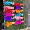 img_3782-2 Long Farr Doll / 12 pis / full size doll / bahuli / 12 pis 6 colours❤️💛💜💙🩷🩵with rubber (chipko)