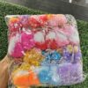 Dhaga doll / bew doll / bahuli / 12 pis / 6 different colours ❤️🩵💙💜💛♥️with rubber (chipko)