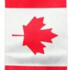 51rmqtxsrjl-_ac_aiweblab1006854t4_fmavif_sf10501050_pq64_-jpg Indian π¨π¦ Tricolour Mini Flag Car Rear View Mirror Hanging Decor with Suction Cup and Fringe (Canada)