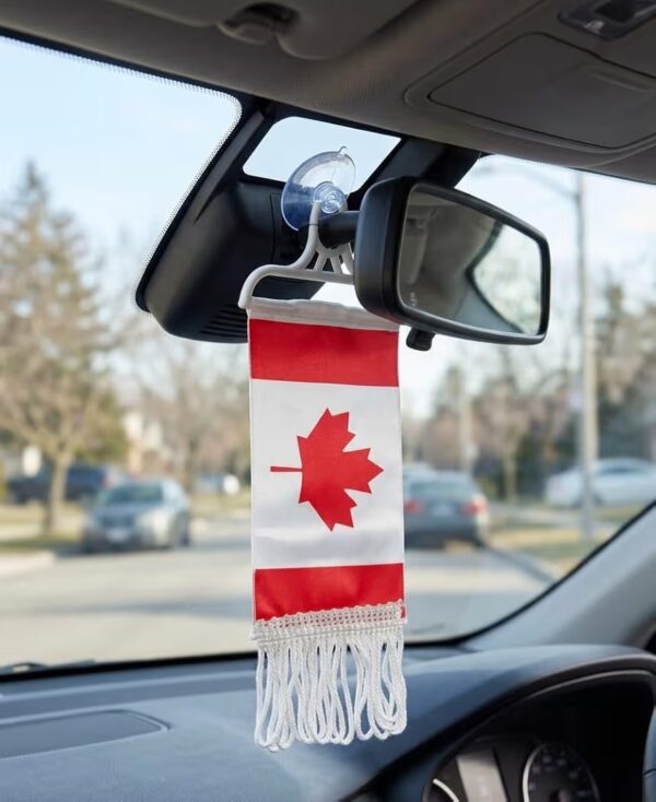 61hrjl1vkol-_ac_aiweblab1006854t4_fmavif_sf10501050_pq64_-jpg Indian π¨π¦ Tricolour Mini Flag Car Rear View Mirror Hanging Decor with Suction Cup and Fringe (Canada)