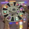 2 White wheel cap [Size R 15” inch] ( *2 pis inside) for Bolero and all 15” inch tyre size / waterproof wheel caps / white design wheel / coating wheels/ coated wheel cover / new wheel cap / fancy wheel cap / veel cap (*2 पीस आयेगा) 15 इंच टायर 🛞 में लगेगा जैसे बोलेरो/ सफ़ेद व्हील कैप / VIP wheel covers